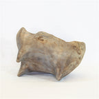 Xigura Patina handcrafted solid wood plant pot, slow living setting for a warm, quiet home.