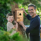 Solid Wood Courtyard Birdhouse