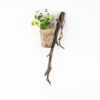 Xigura Patina handcrafted solid wood plant stand, natural grain detail for a warm, quiet home.