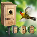 Solid Wood Courtyard Birdhouse