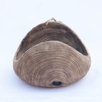 Xigura Patina handcrafted solid wood plant pot, quiet home styling for a warm, quiet home.